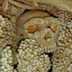 Illustration for article titled Skull Embedded In Italian Cave Yields Oldest Neanderthal DNA Sample
